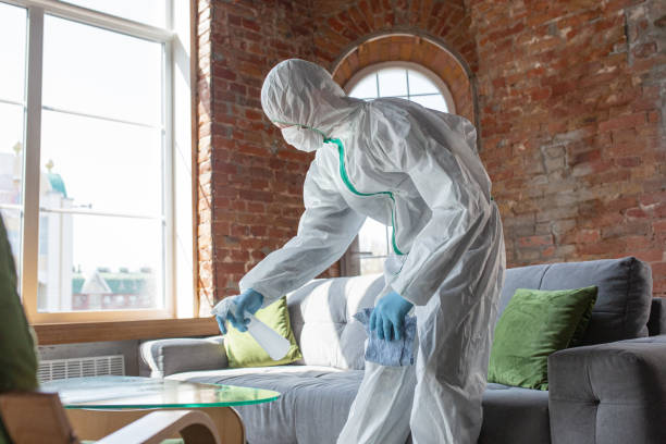 Why You Should Choose Our Mold Remediation Services in Reynolds Heights, PA